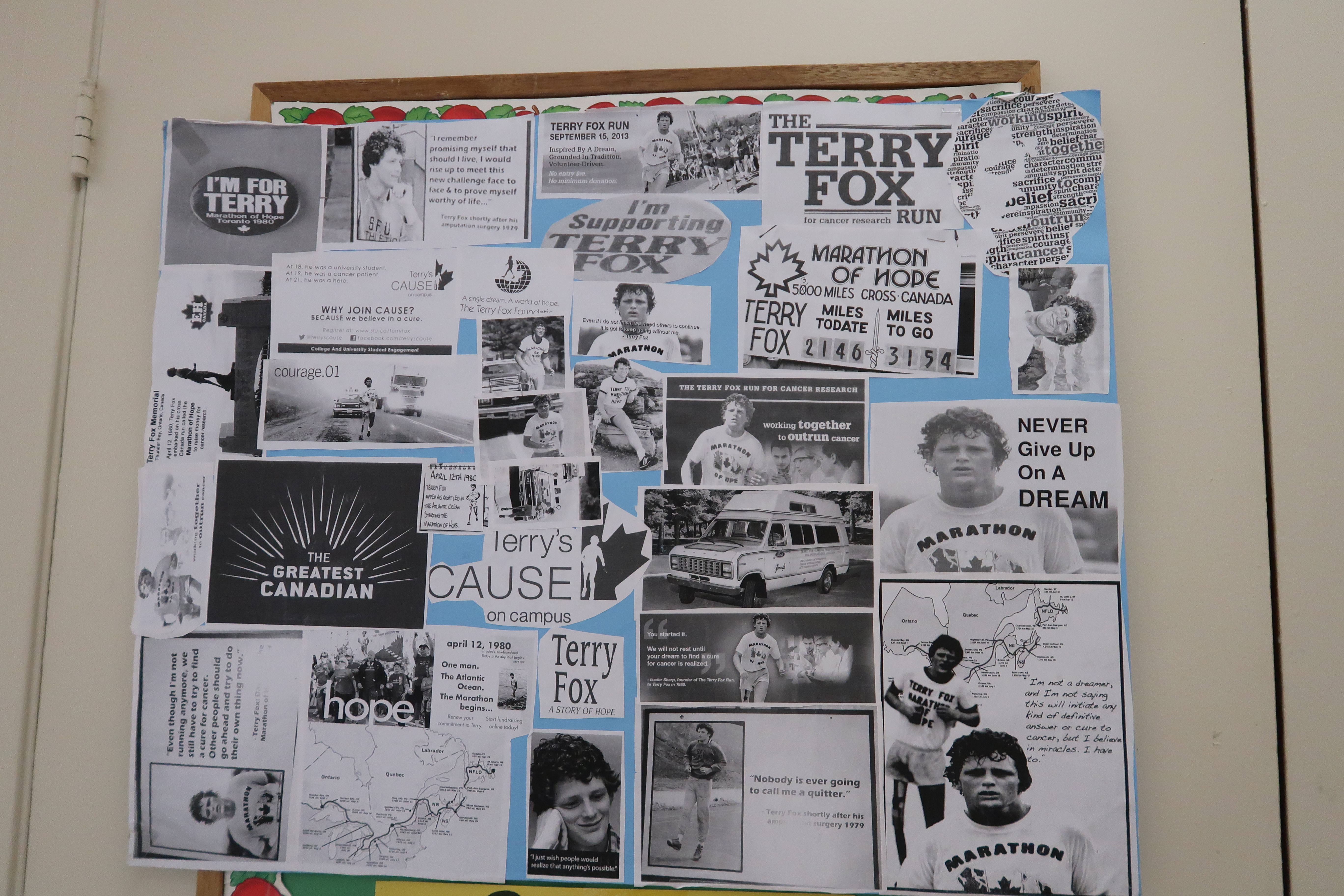 Terry Fox Run — photo 7